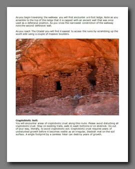 [Click to enlarge image]