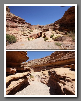 [Click to enlarge image]