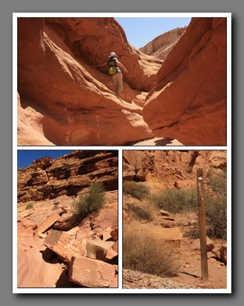 [Click to enlarge image]