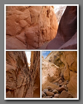 [Click to enlarge image]