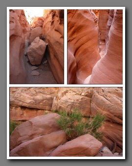 [Click to enlarge image]