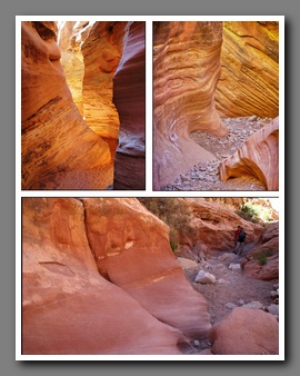 [Click to enlarge image]