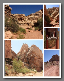 [Click to enlarge image]