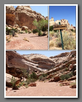 [Click to enlarge image]