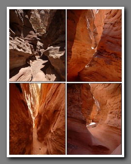 [Click to enlarge image]