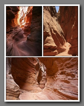 [Click to enlarge image]