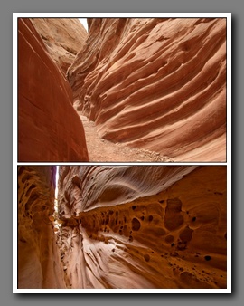 [Click to enlarge image]