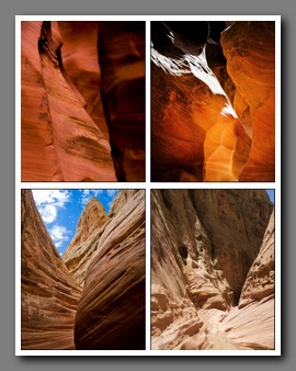 [Click to enlarge image]