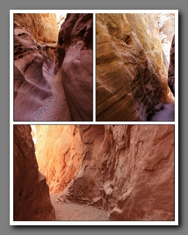 [Click to enlarge image]