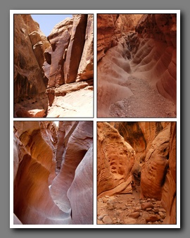 [Click to enlarge image]