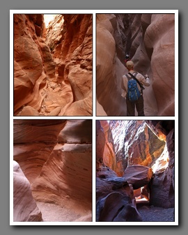 [Click to enlarge image]