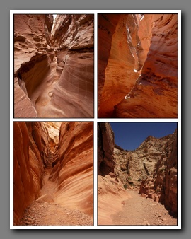 [Click to enlarge image]