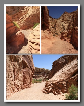 [Click to enlarge image]