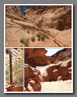 [Click to enlarge image]