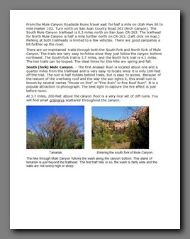 [Click to enlarge image]