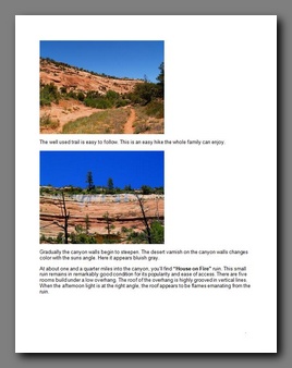 [Click to enlarge image]