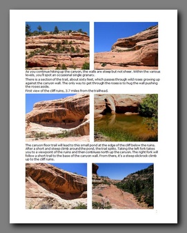 [Click to enlarge image]