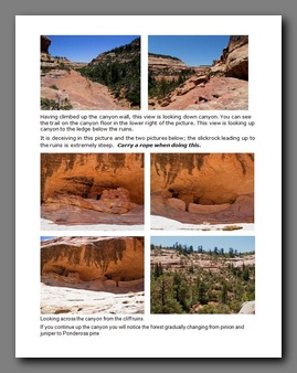 [Click to enlarge image]