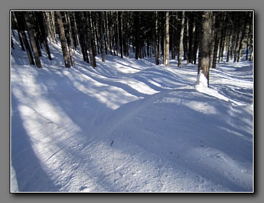 [Click to enlarge image]