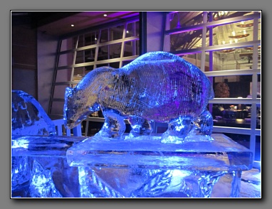 [Click to enlarge image]