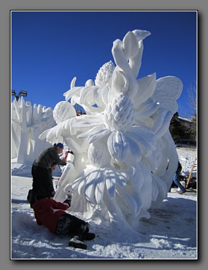 [Click to enlarge image]