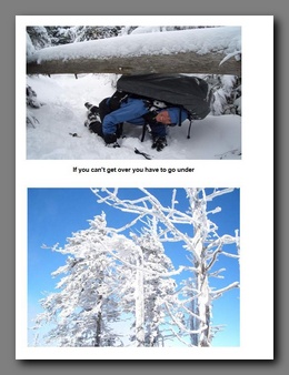 [Click to enlarge image]